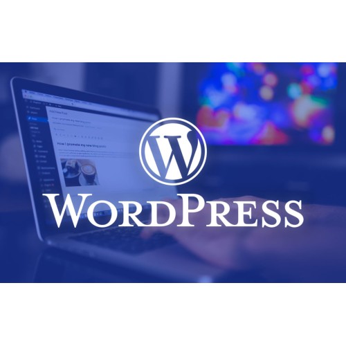 WordPress E-Commerce Full Store Setup